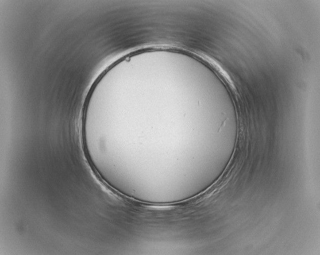 X0000115821343200912041620