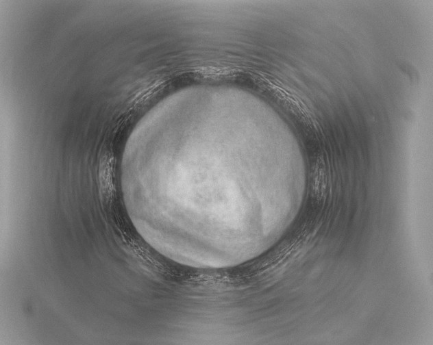 X0000115821346200912041619