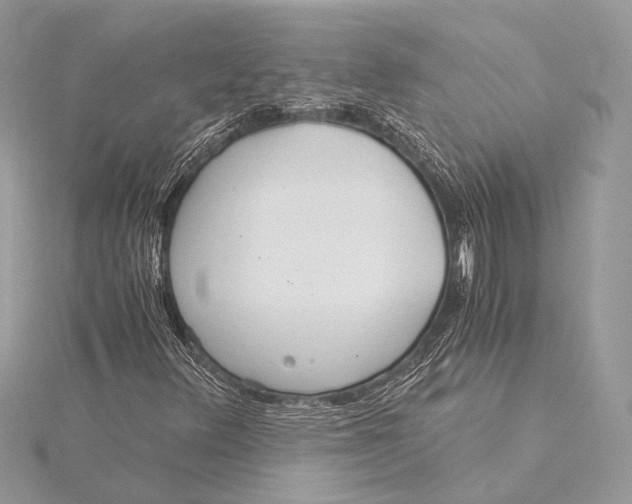 X0000115821348200912041619