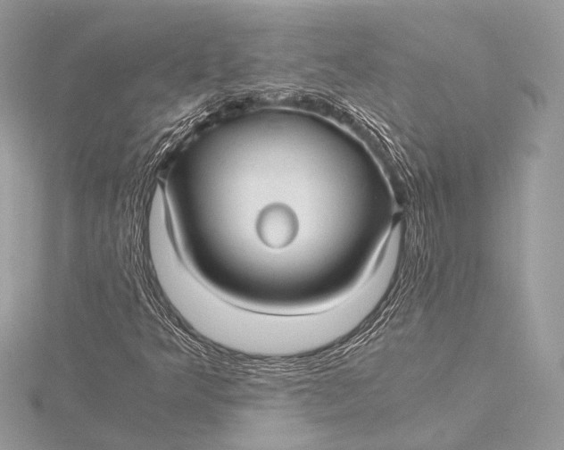 X0000115821349200912041619