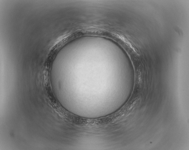 X0000115821350200912041619