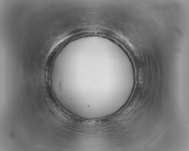 X0000115821352200912041619