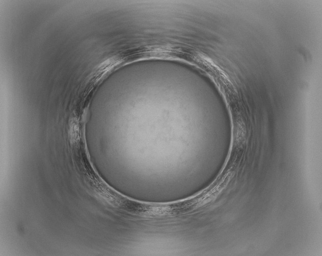 X0000115821353200912041619