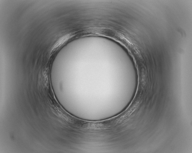 X0000115821354200912041619