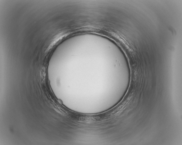 X0000115821355200912041619