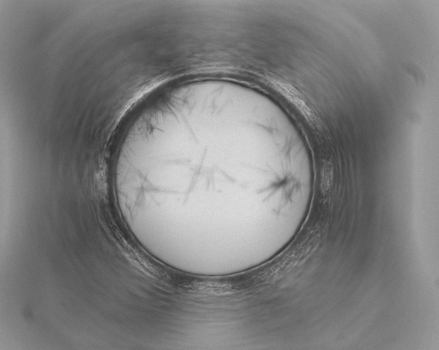 X0000115821356200912041619