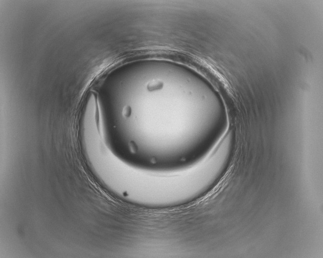 X0000115821357200912041619