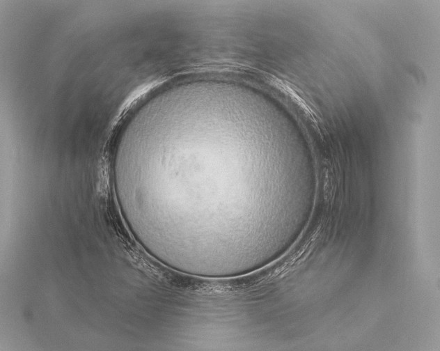 X0000115821358200912041619