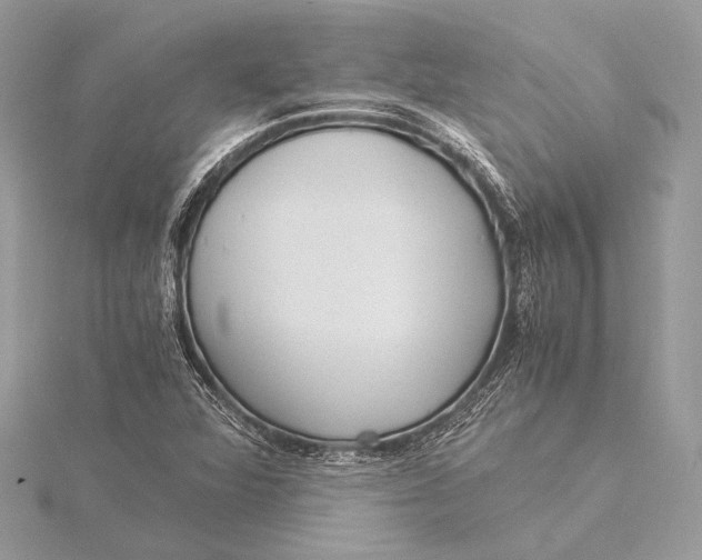 X0000115821360200912041619