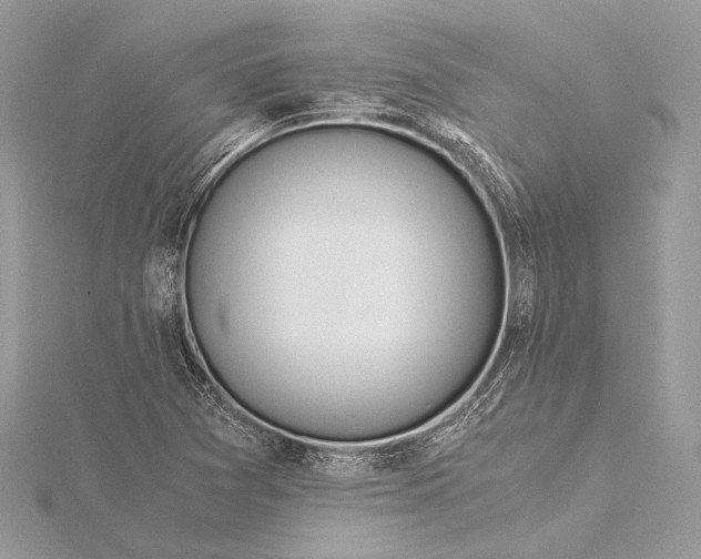 X0000115821361200912041619