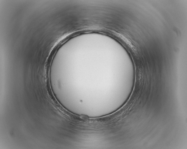 X0000115821364200912041619