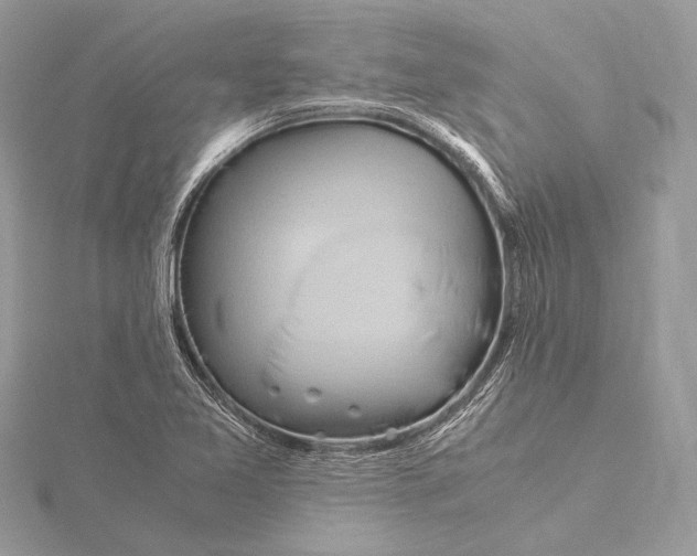 X0000115821365200912041619