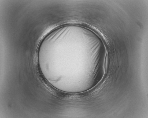 X0000115821367200912041619