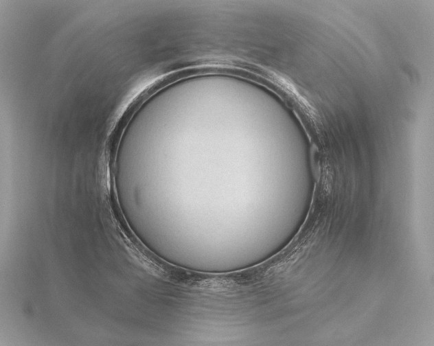 X0000115821368200912041619