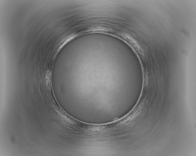 X0000115821369200912041619