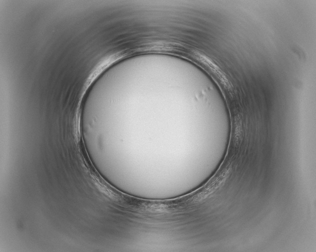 X0000115821370200912041618