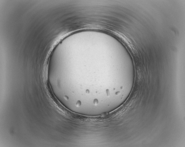 X0000115821371200912041618