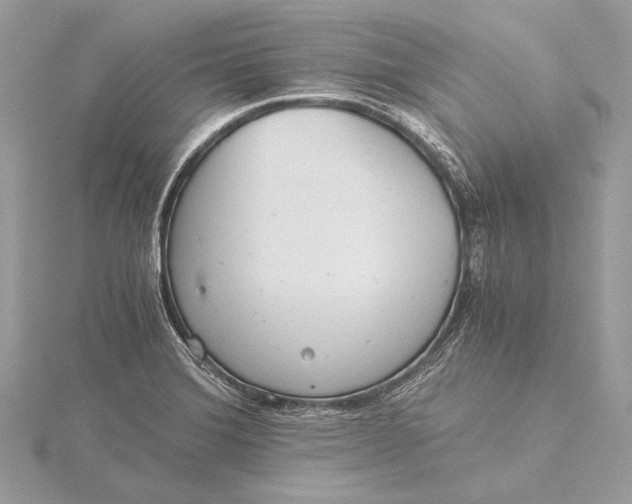 X0000115821372200912041618