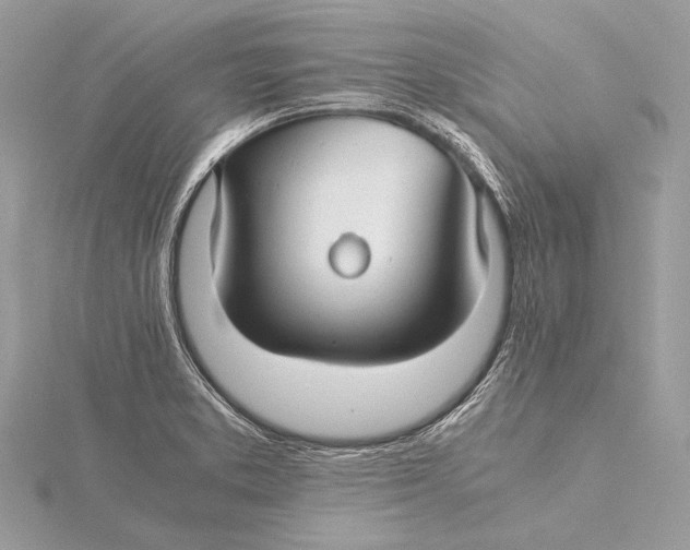 X0000115821373200912041618