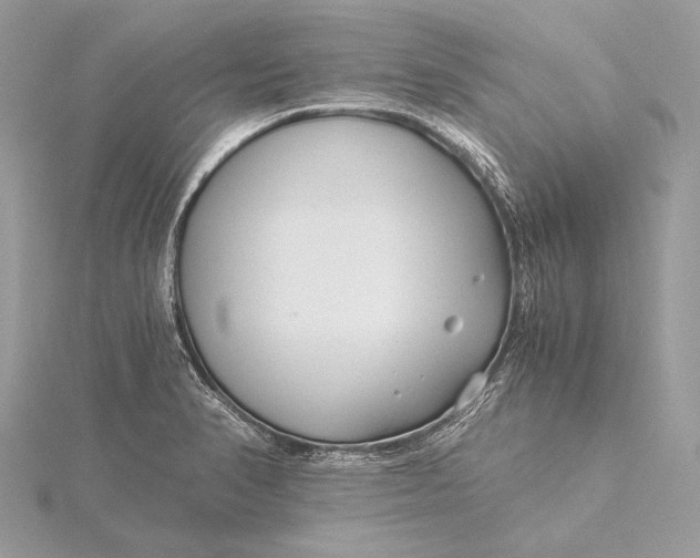 X0000115821374200912041618