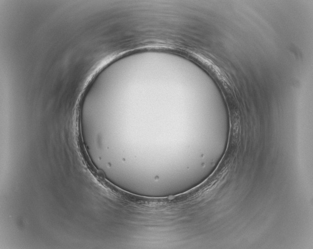 X0000115821375200912041618