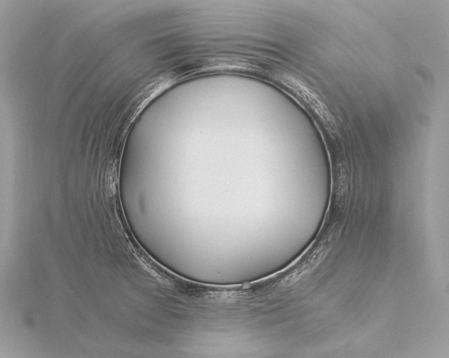 X0000115821377200912041618