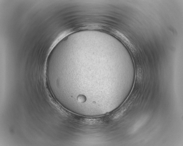 X0000115821378200912041618