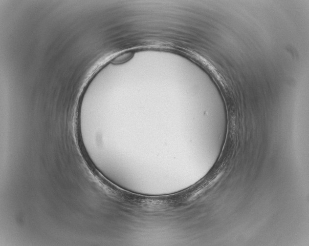 X0000115821379200912041618