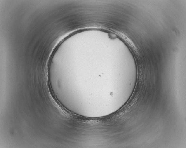 X0000115821380200912041618