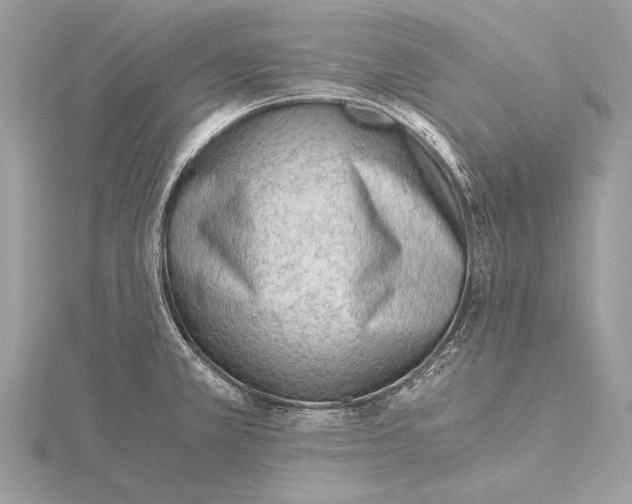 X0000115821381200912041618