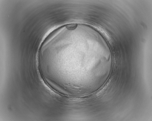 X0000115821382200912041618