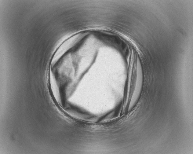 X0000115821383200912041618