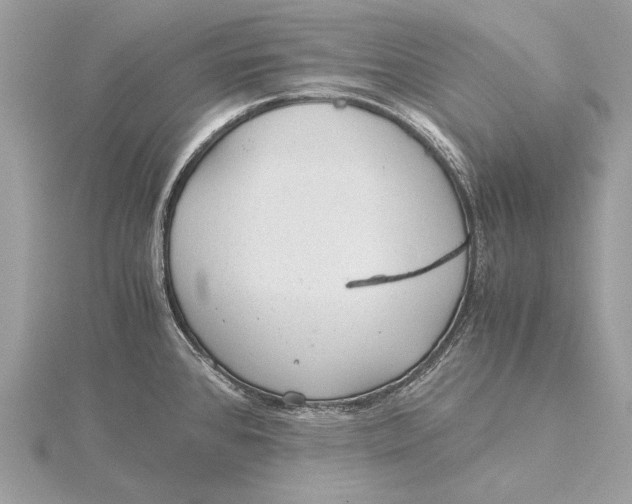 X0000115821384200912041618