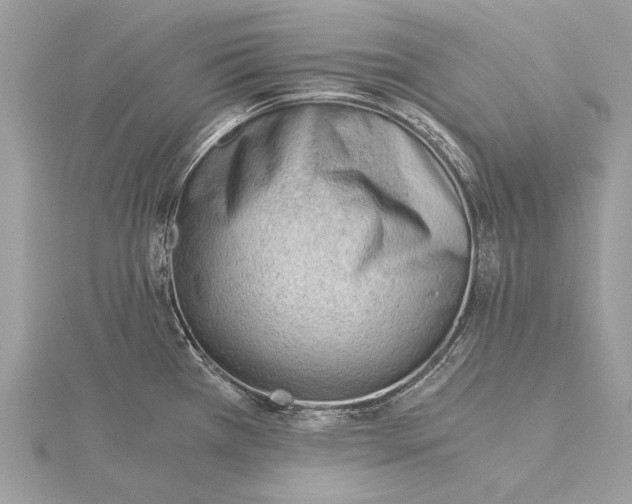 X0000115821385200912041618