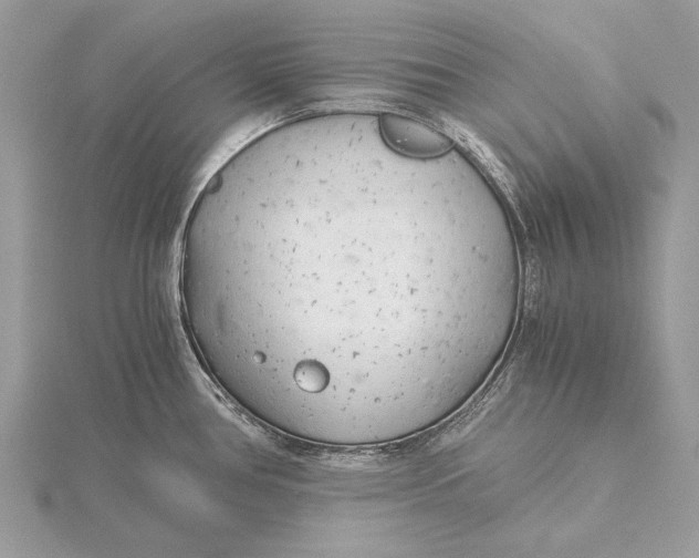 X0000115821386200912041618