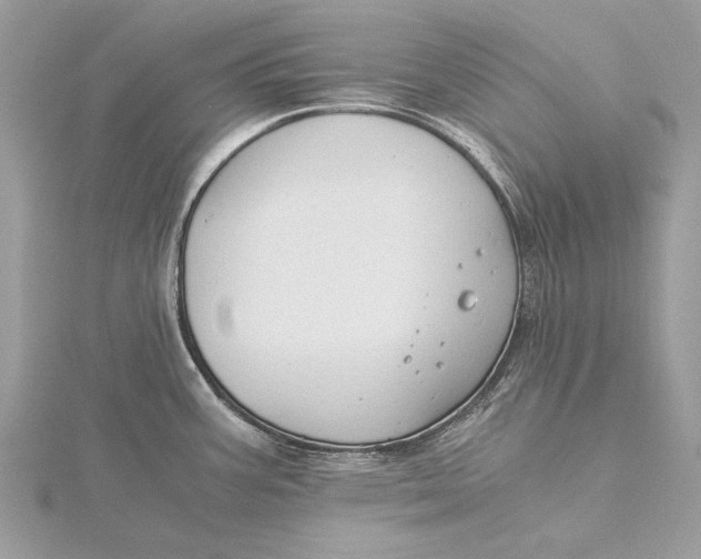 X0000115821387200912041618