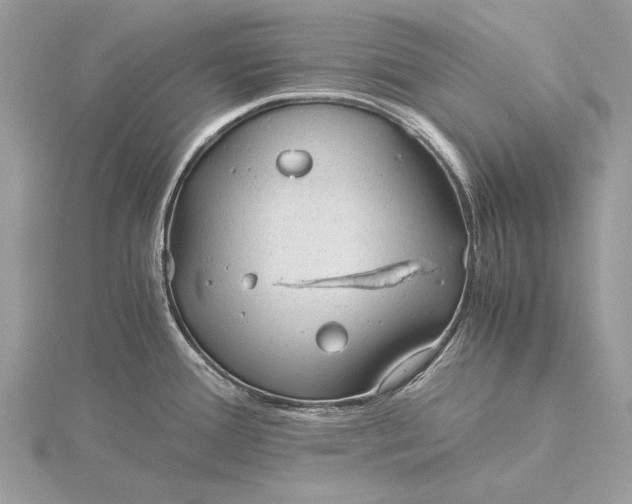 X0000115821388200912041618