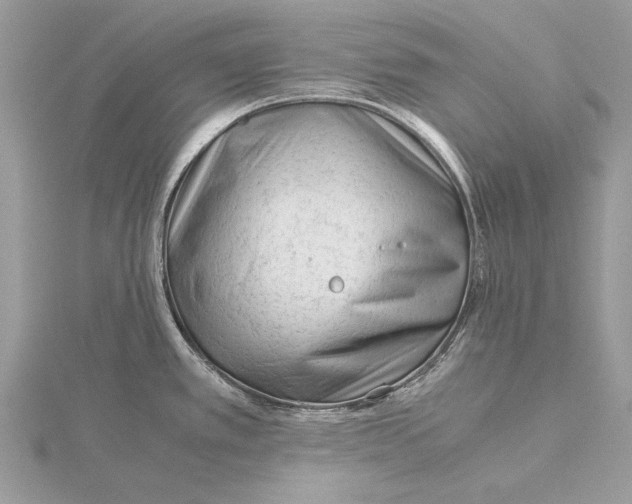 X0000115821389200912041618