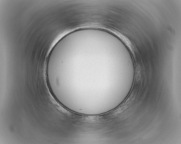 X0000115821390200912041618