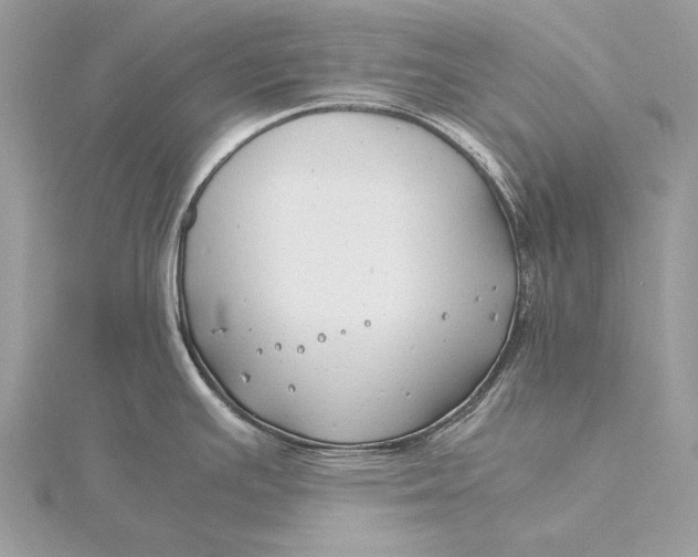 X0000115821391200912041618