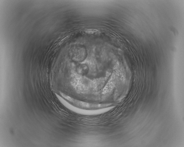 X0000115821394200912041618