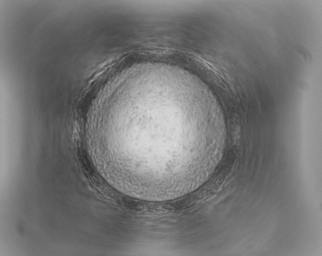 X0000115821397200912041618