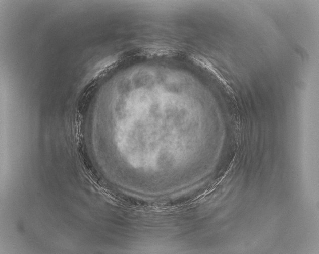 X0000115821399200912041618