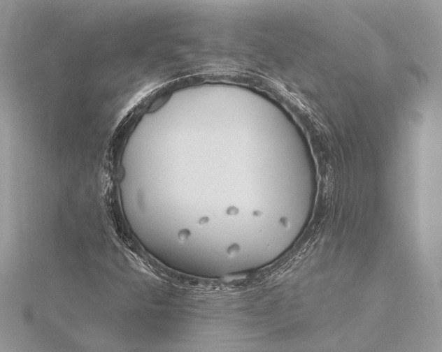 X0000115821400200912041618