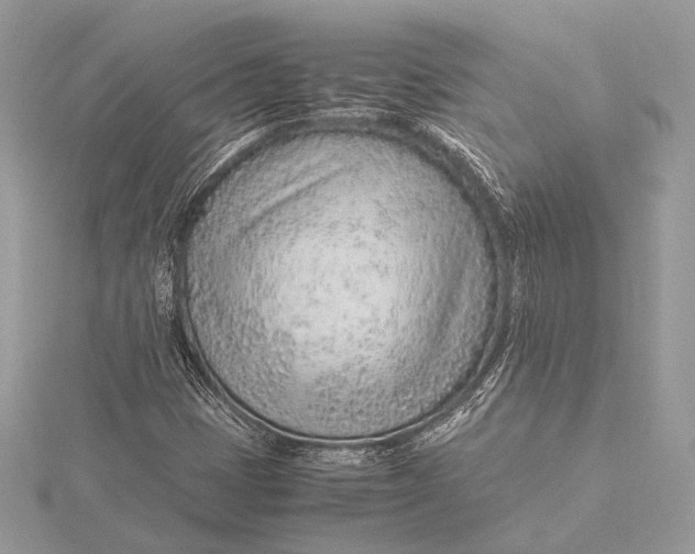 X0000115821401200912041618