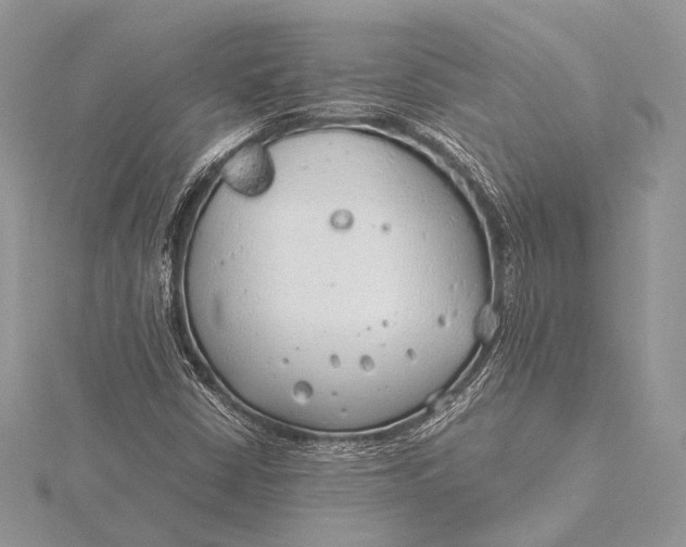 X0000115821402200912041618