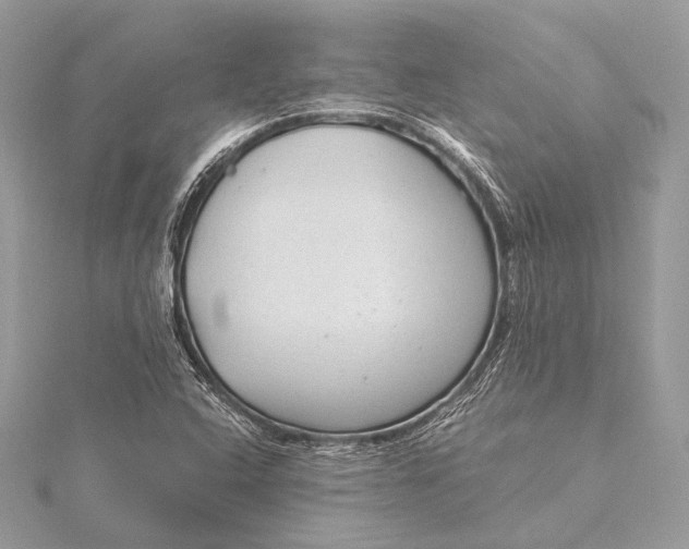 X0000115821408200912041618