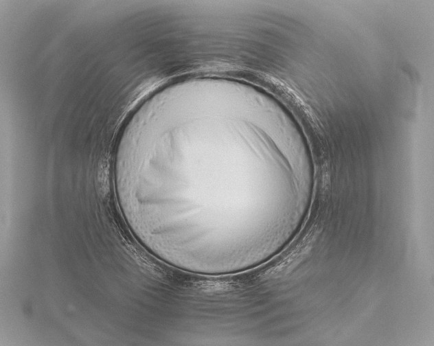 X0000115821409200912041618