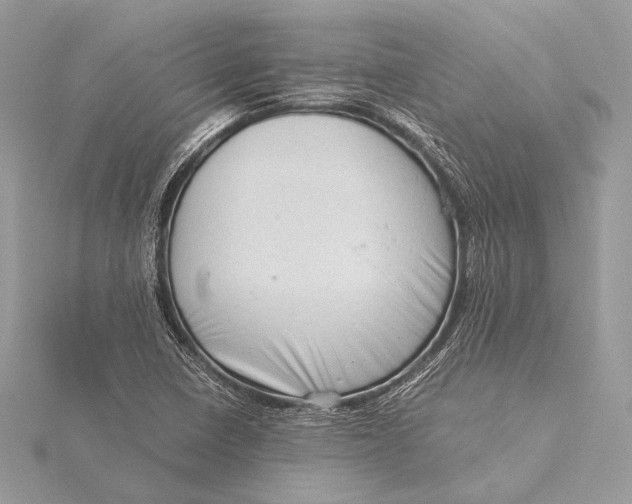 X0000115821410200912041618