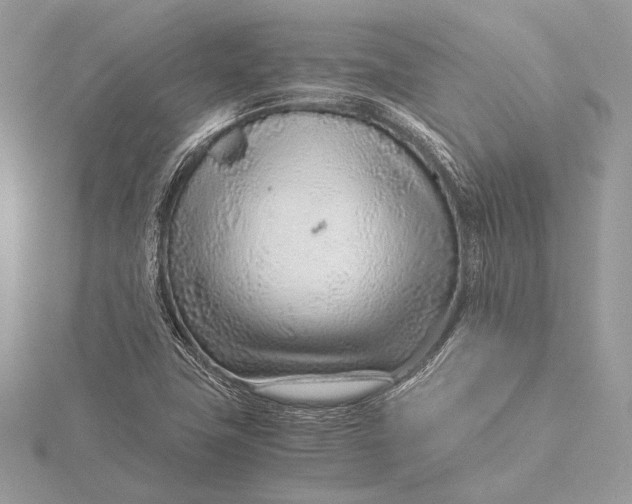 X0000115821411200912041618